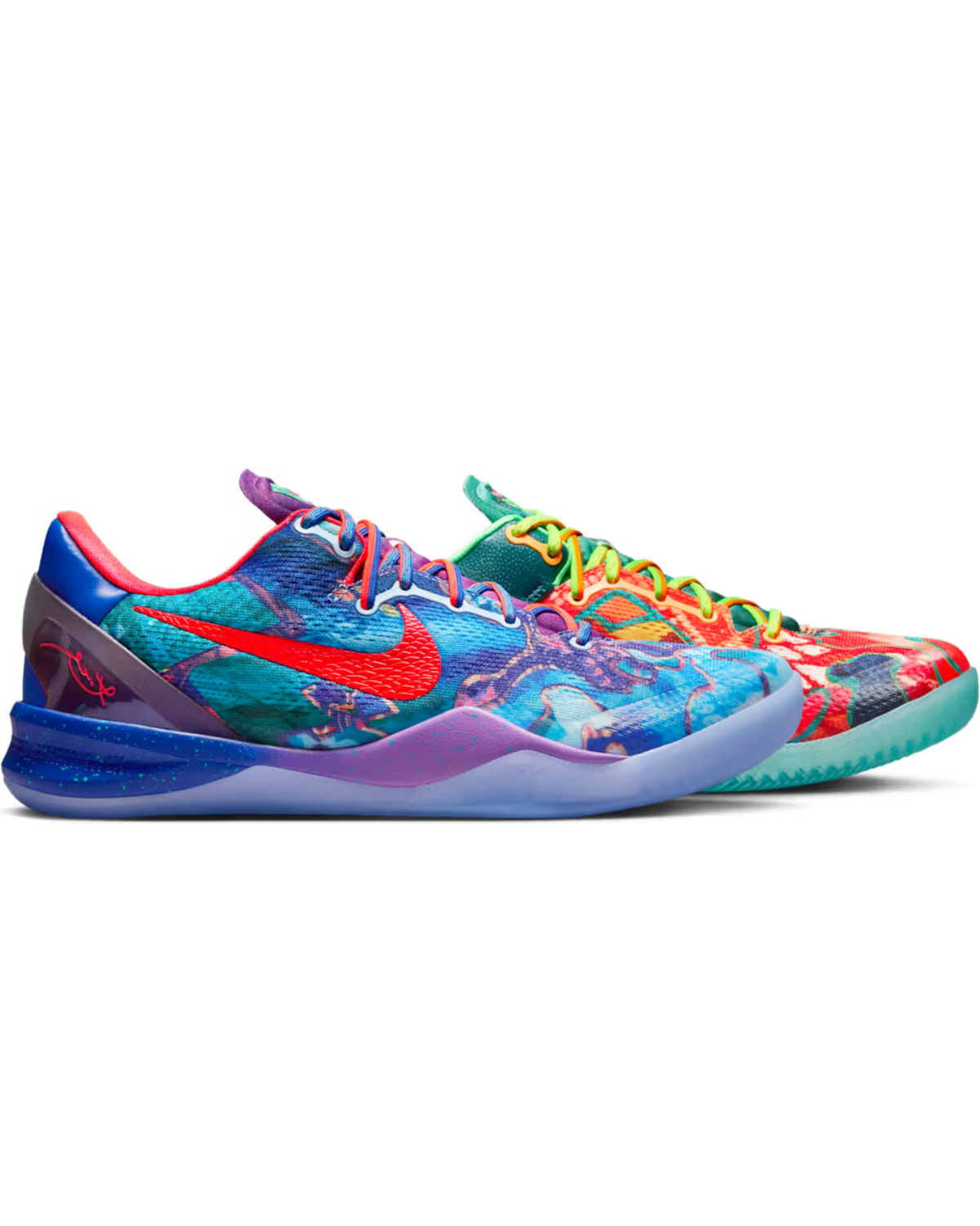 Nike Kobe 8 Protro What The Image