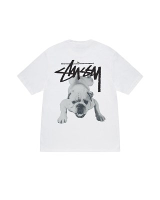 Stussy STOCK DOG TEE