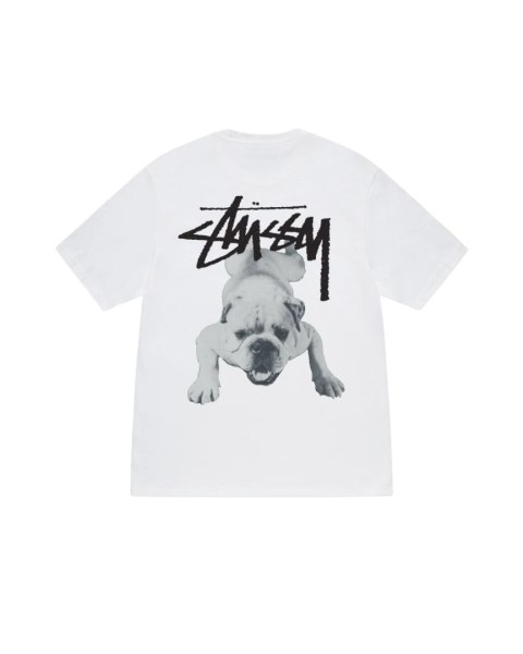 Stussy STOCK DOG TEE